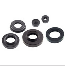 Gufero 22 x 40 / 51 x 8 / 12 GP - 113ZN10 - 1240242006